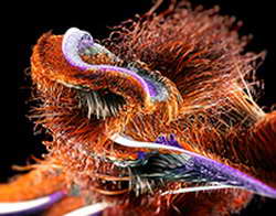 Фондовый рынок, Daily history за 4 марта 2026 г.