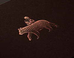 IBU оставляет в силе недопуск российских биатлонистов: «Заявление МОК не меняет квалификационный статус наших соревнований»