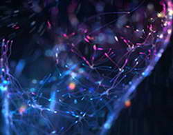 Фондовый рынок, Daily history за 2 декабря 2025 г.