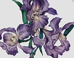 Тревожное отставание Биткоина