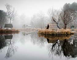 На Спортсе’’ продолжается голосование за лучшего спортсмена мира-2025 – выбирайте топ-3