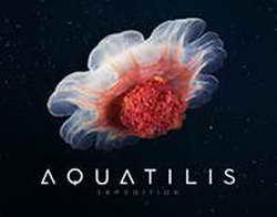 Фондовый рынок, Daily history за 18 февраля 2026 г.