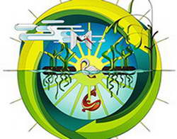 НФЛ. 17-я неделя. «Миннесота» встретится с «Детройтом», «Канзас-Сити» против «Денвера» и другие матчи