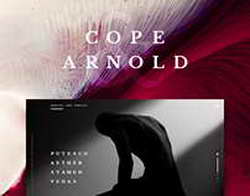 Тихонов о Свищеве: «Это категория людей, которые готовы возглавить все что угодно. Это неправильно, должны управлять профессионалы»