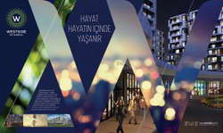 Кому какая зубная щетка показана?